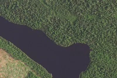 Camp site