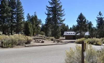 Serrano Campground picnic tables