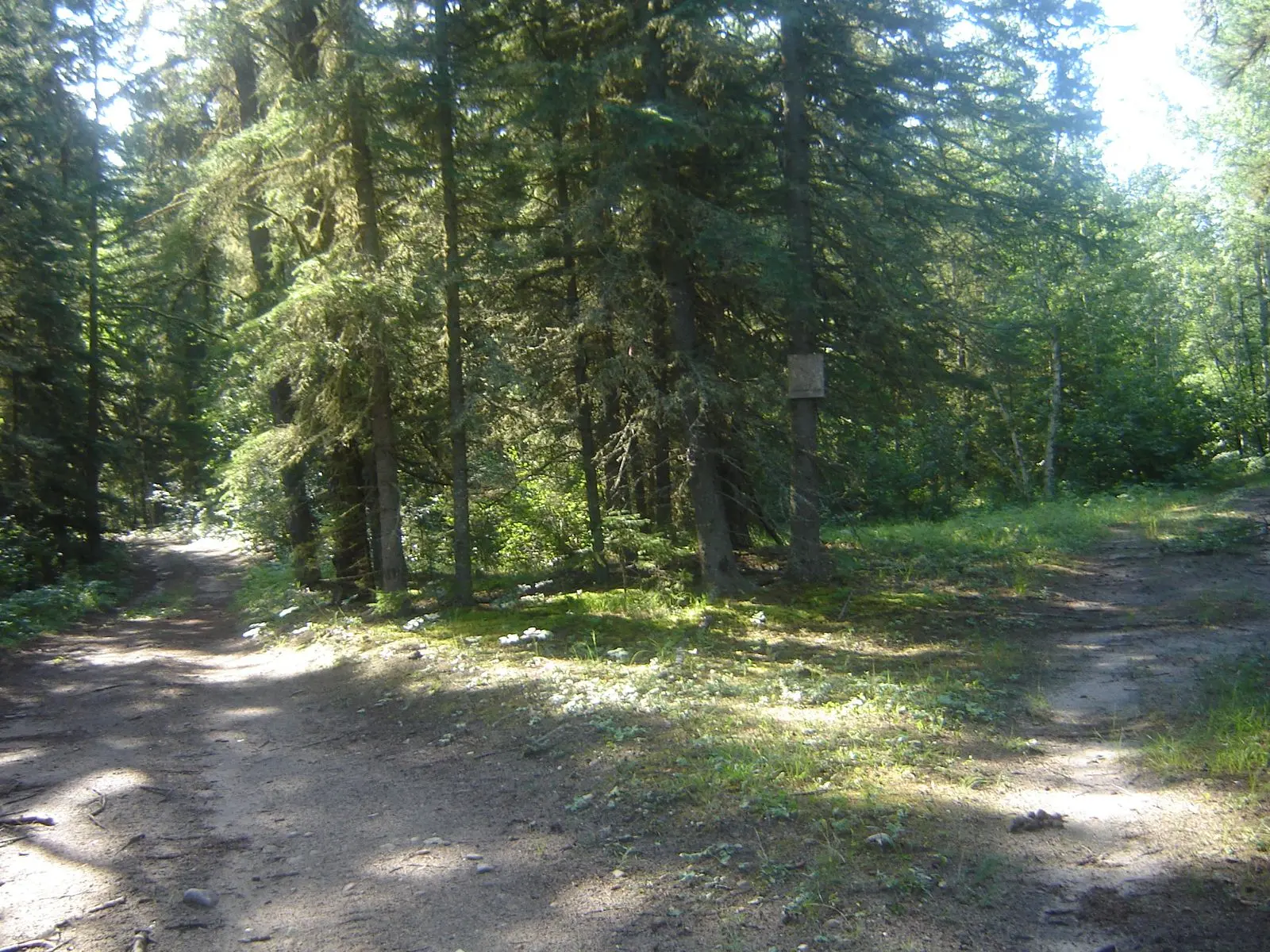Photo of Meadow Lake Provincial Park
