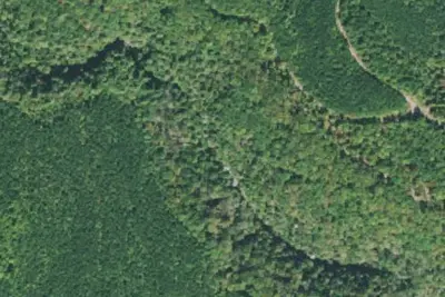 Camp site