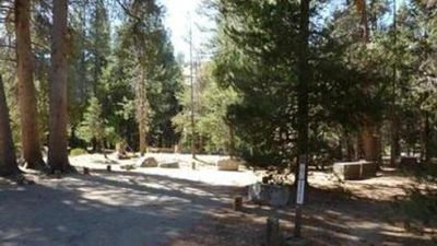 Jackass Meadow