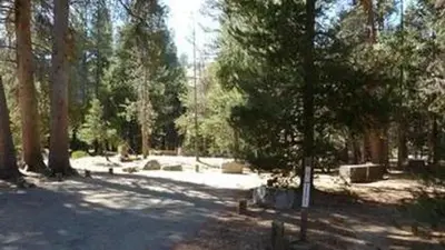 Jackass Meadow