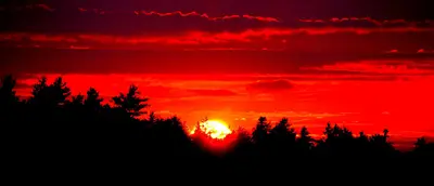 Perfect Sunset