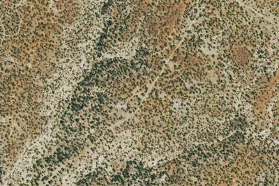 Camp site