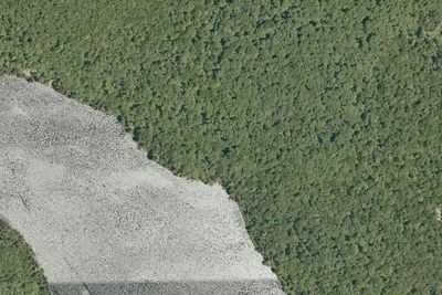 Camp site