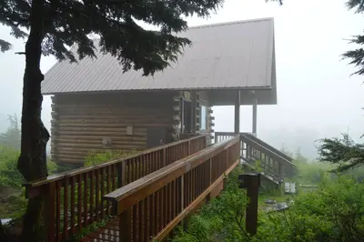 Rainy day view from the outhouse