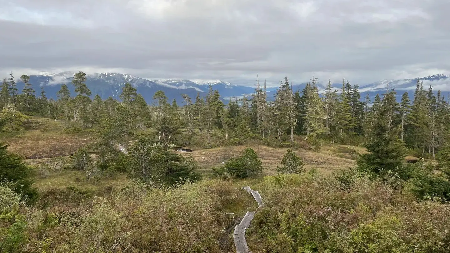 View from John Muir Cabin