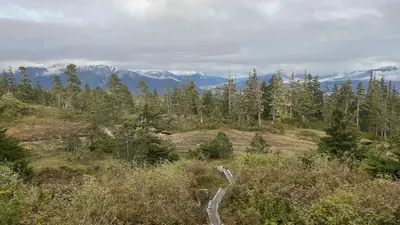 John Muir Cabin