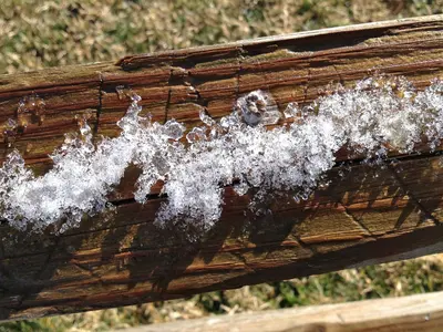 2012-366-51 Snow Lace (6913999851)