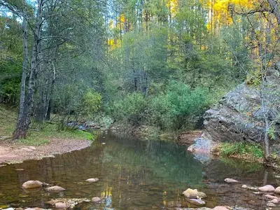 Tonto Creek