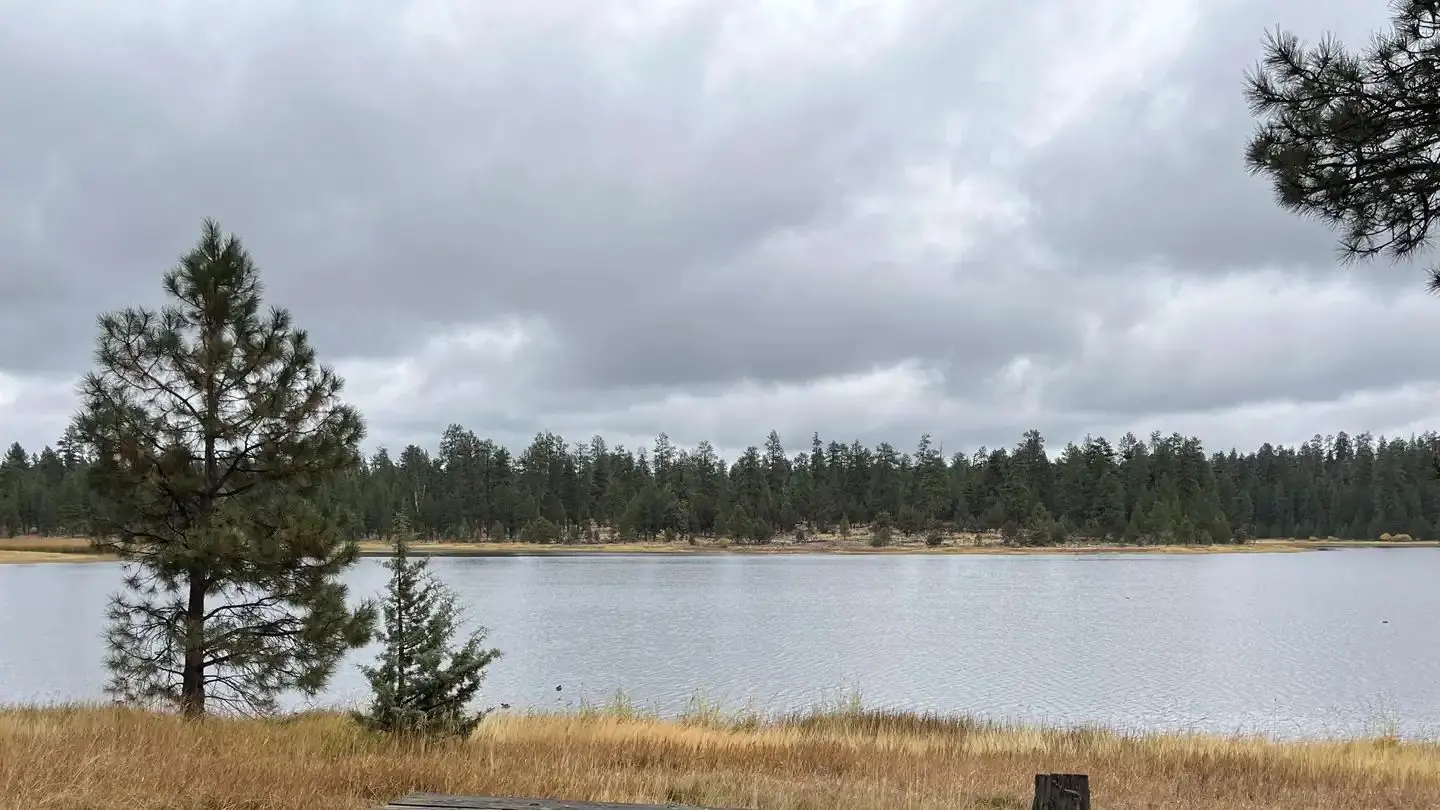 View of Delintment Lake