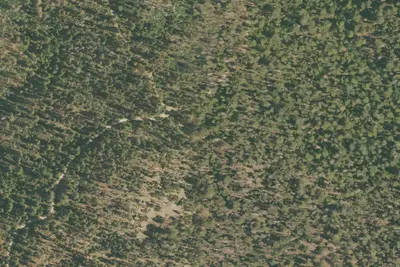 circle grove campsite