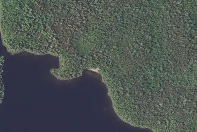 Camp site (USFS)