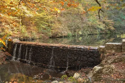 Bard Springs Dam