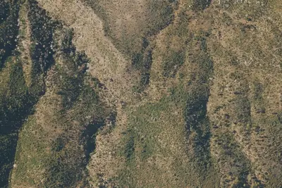Camp site