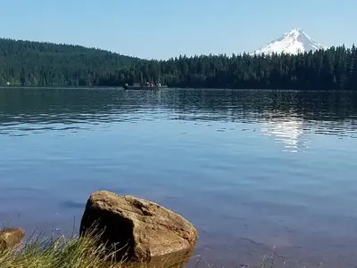 View of Mount Hood from Gone Creek