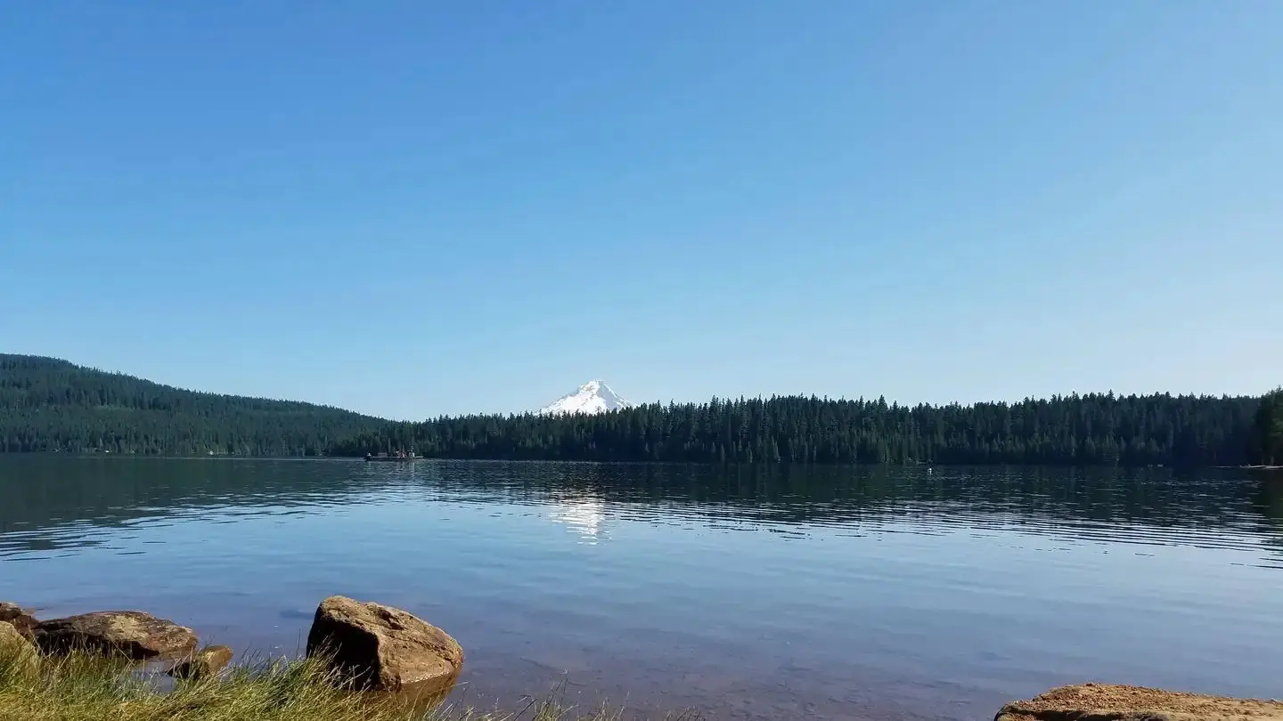 View of Mount Hood from Gone Creek