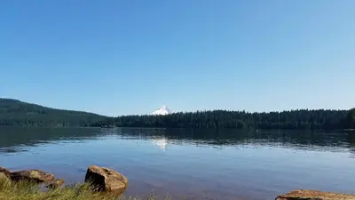 Gone Creek Campground (Timothy Lake, OR)