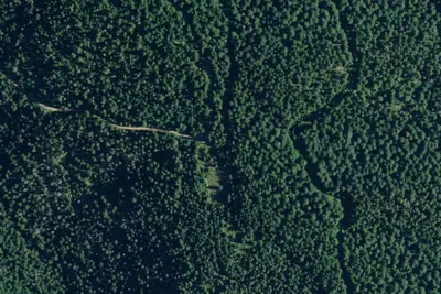 Rd 258 Site 1