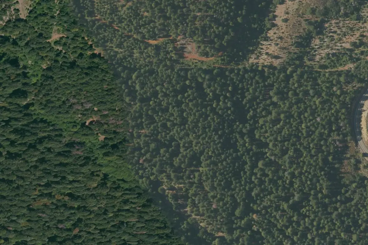 Aerial view