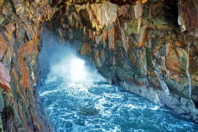 Nova Scotia DSC08254 - Cave BOOM.... (36163642512)
