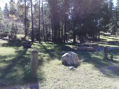 Picnic Table