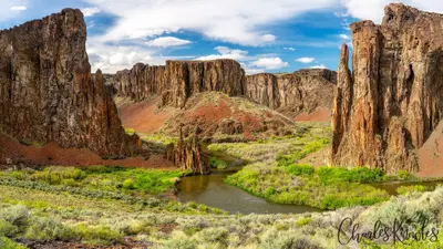 East fork of Owyhee River spring at the Tuleâs - Flickr - Knowles Gallery