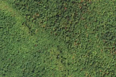 Camp site