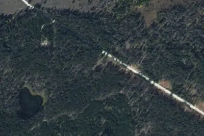 Cow Streak