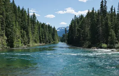 Isaac River, Bowron Lake Provincial Park (DSCF2693)