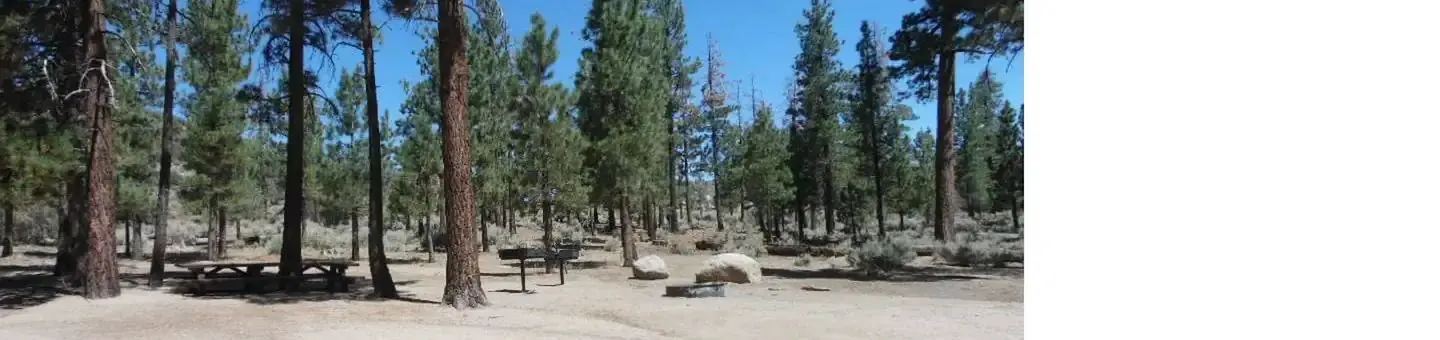 Picnic Table Area at Big Pine Equestrian Group Campground