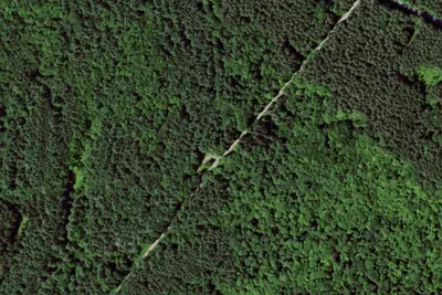 Camp site (NY DEC)