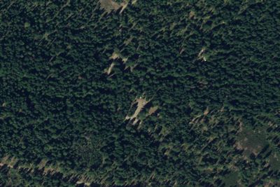 BIrd Creek Campground
