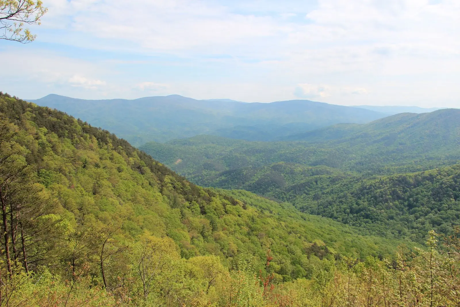 Photo of Chattahoochee-Oconee National Forest