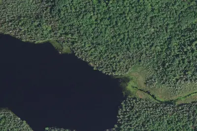 Camp site