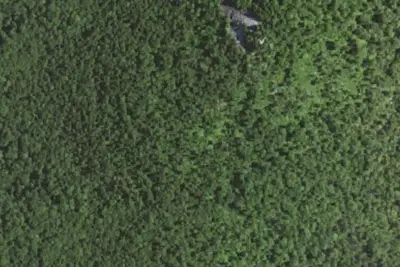Camp site