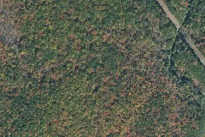 Group Campsite