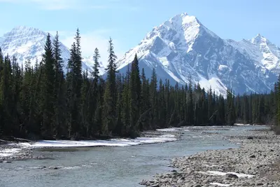 Icefields Parkway, Alberta (5808757247)