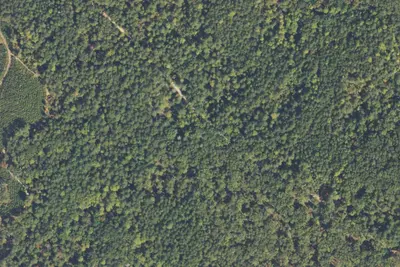 Camp site