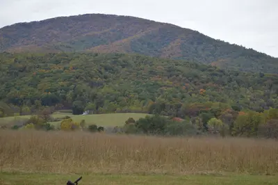 Mill Hill from Beech Grove Road