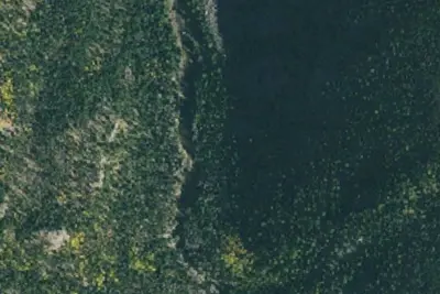 U.S. Forest Service Site 2