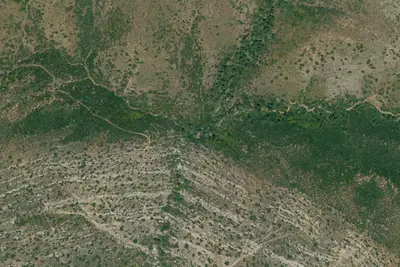 Camp site