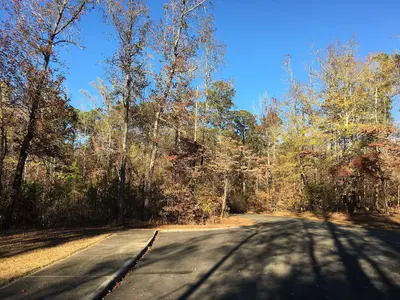 Witch Dance parking lot Natchez Trace Parkway