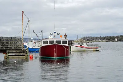 NS-00268 - Indian Harbour (25641309991)