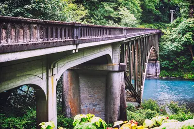 Hoh River Bridge