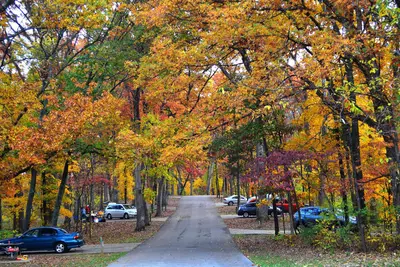Babler SP campground-20131102-001