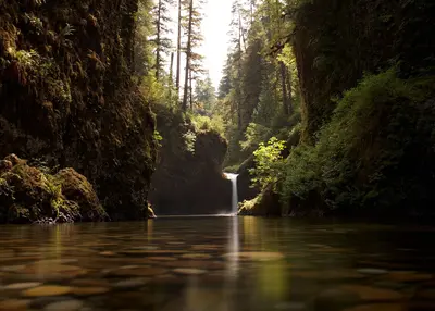 Punchbowl Falls (Splored -20) (7878203762)