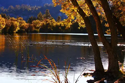 Jackson Lake, in Wrightwood, California (1)