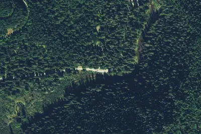 Hook Creek Camp