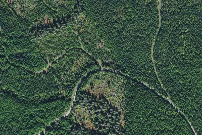 9568--4 Jim Lakes Road
